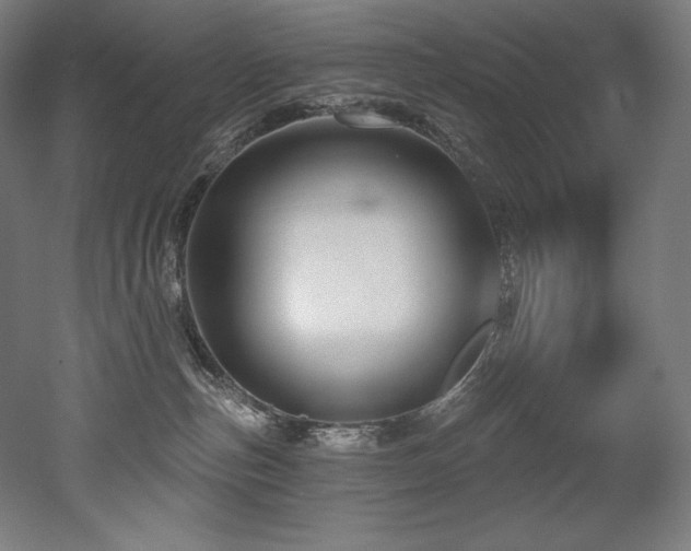 X0000053020187200507081335