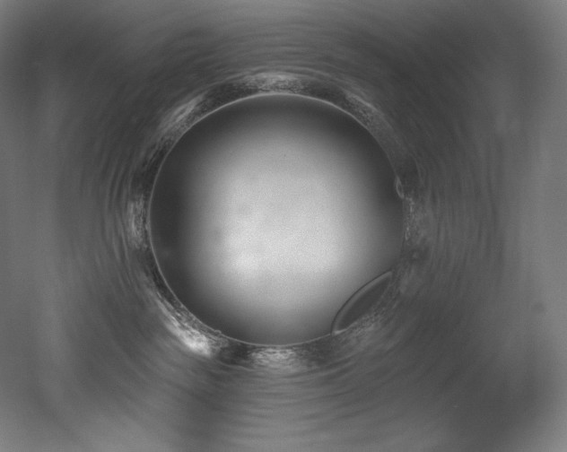 X0000053020189200507081336