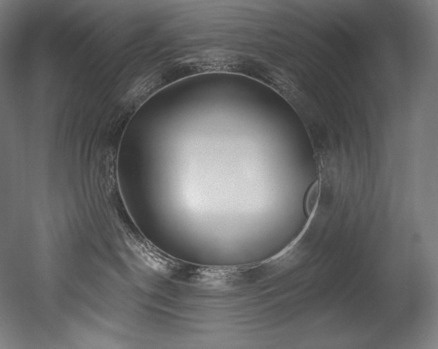 X0000053020190200507081336