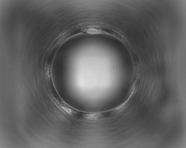 X0000053020191200507081336
