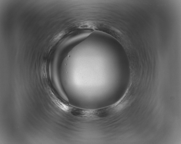 X0000053020192200507081336