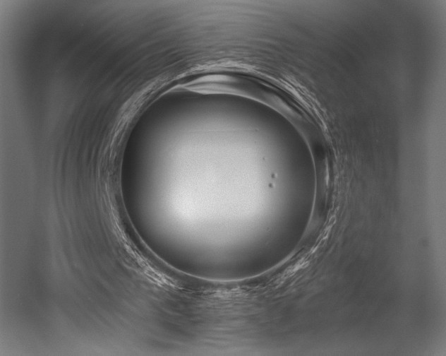 X0000053020193200507081335