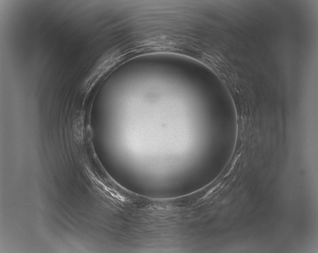 X0000053020194200507081335