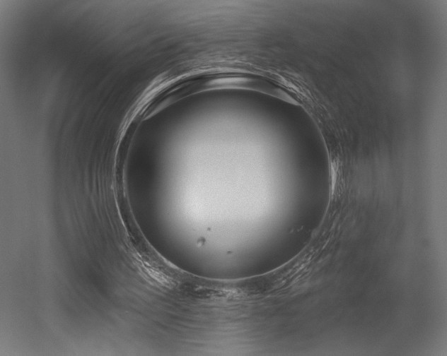 X0000053020195200507081335