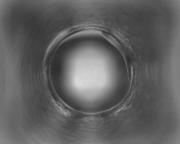 X0000053020197200507081335