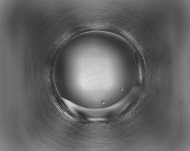 X0000053020201200507081335
