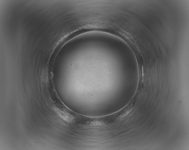 X0000053020204200507081335
