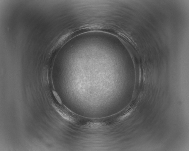 X0000053020205200507081335