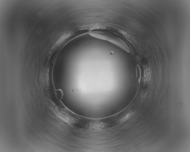 X0000053020206200507081335