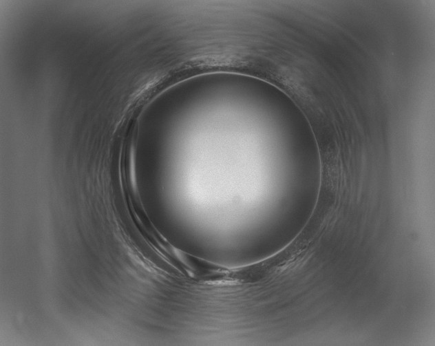 X0000053020207200507081335