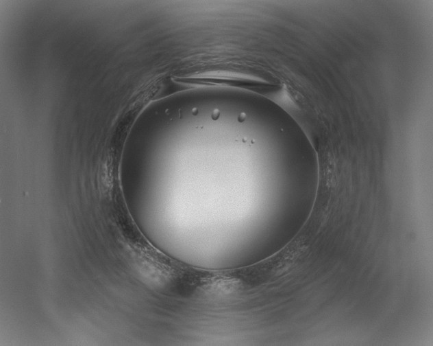X0000053020210200507081334