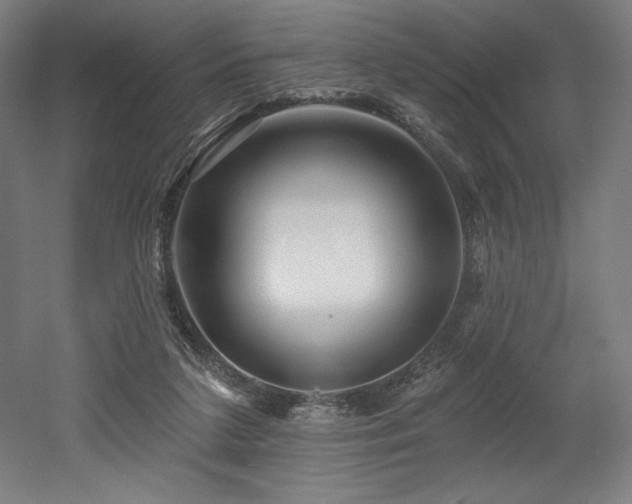 X0000053020211200507081334