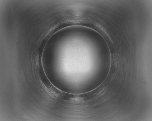 X0000053020212200507081334