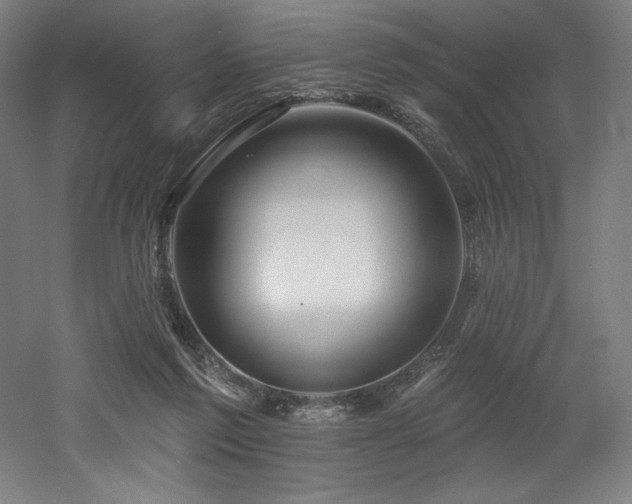 X0000053020213200507081334