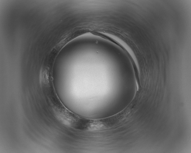 X0000053020214200507081334