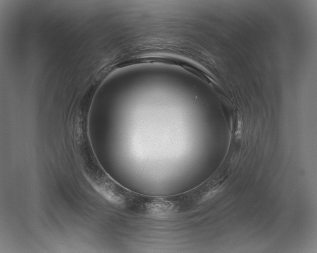 X0000053020215200507081334