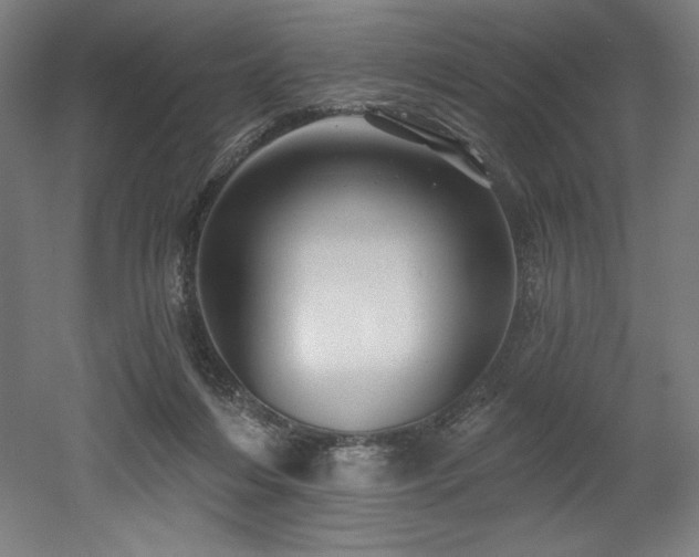 X0000053020216200507081334