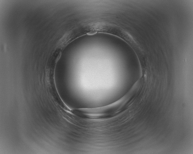 X0000053020217200507081334