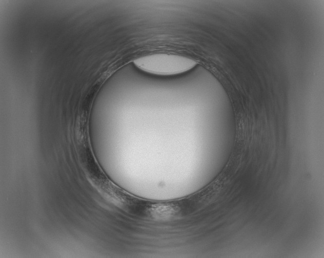 X0000053020218200507081334