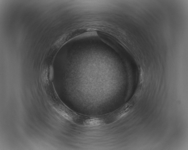X0000053020219200507081334
