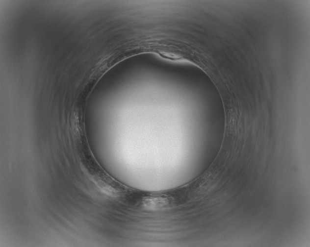 X0000053020220200507081334