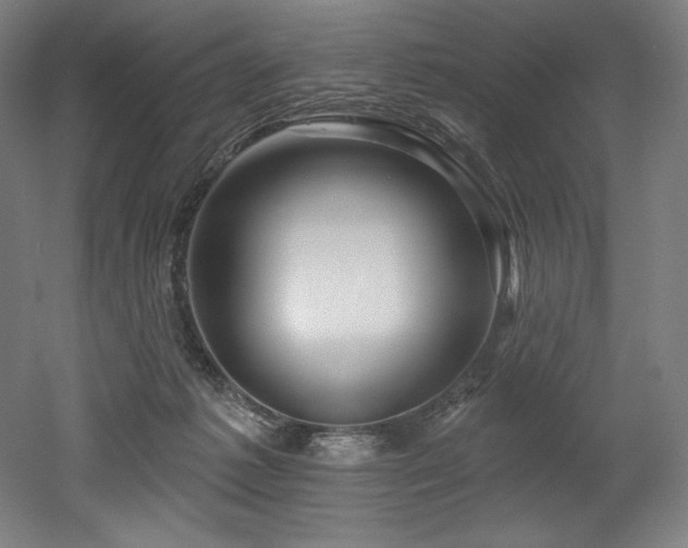 X0000053020221200507081334