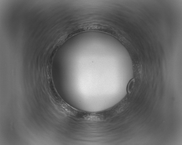 X0000053020224200507081334
