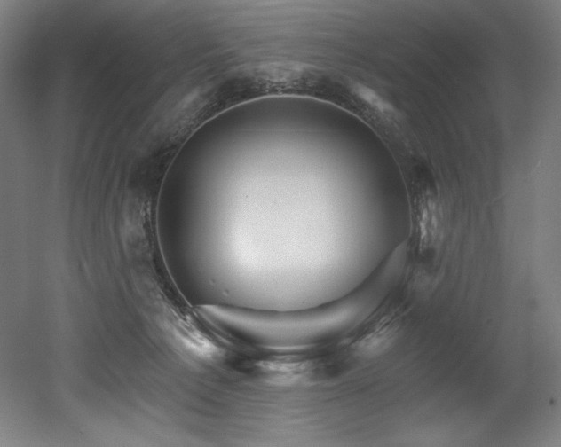 X0000053020225200507081334