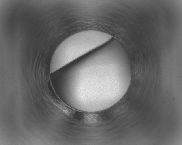 X0000053020226200507081334