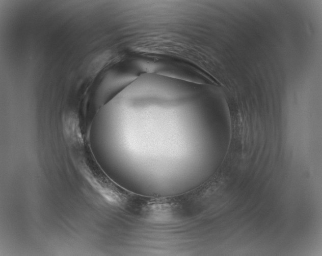 X0000053020228200507081334