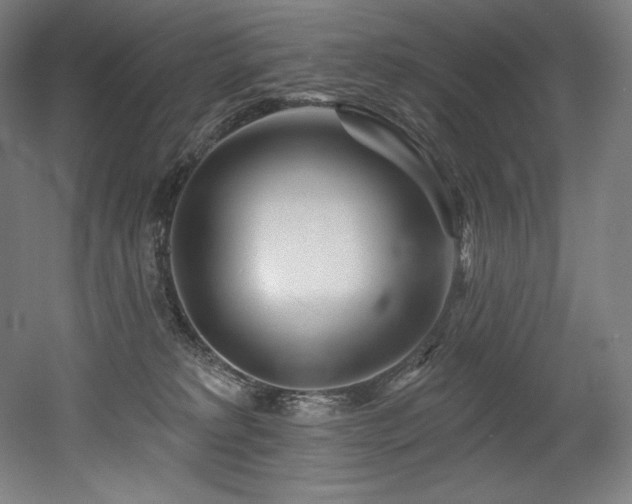 X0000053020229200507081334