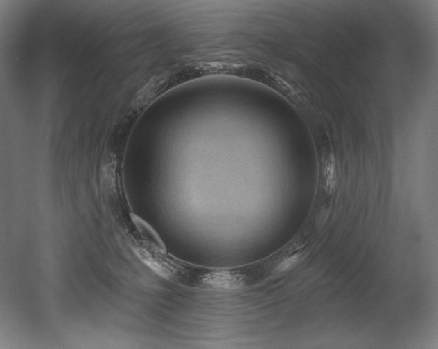 X0000053020231200507081334