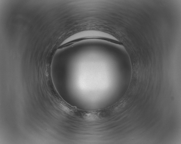 X0000053020232200507081334