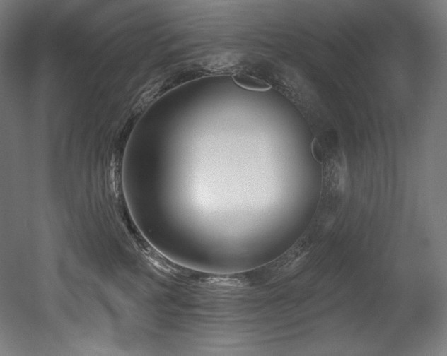 X0000053020234200507081334