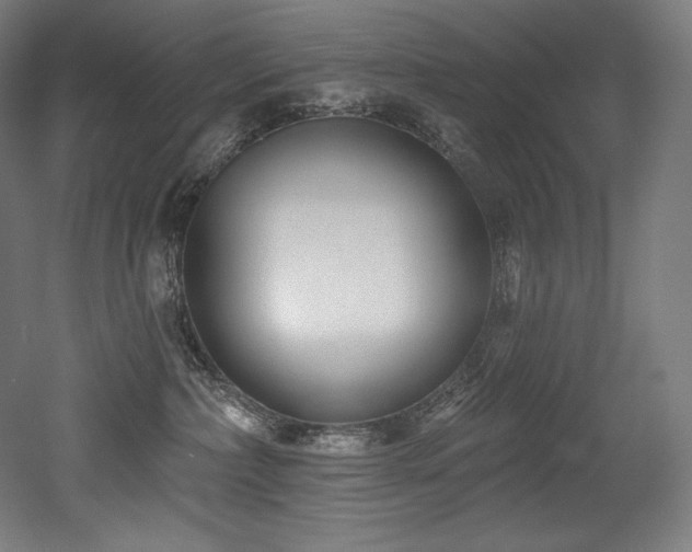 X0000053020236200507081334