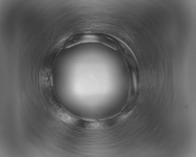 X0000053020237200507081334