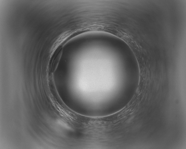 X0000053020242200507081333