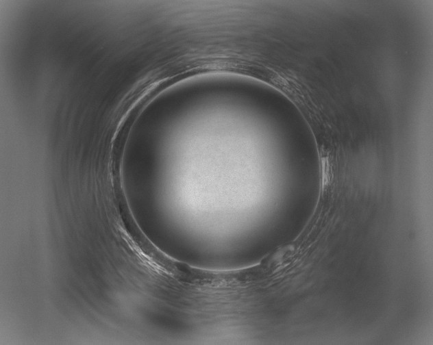 X0000053020243200507081333