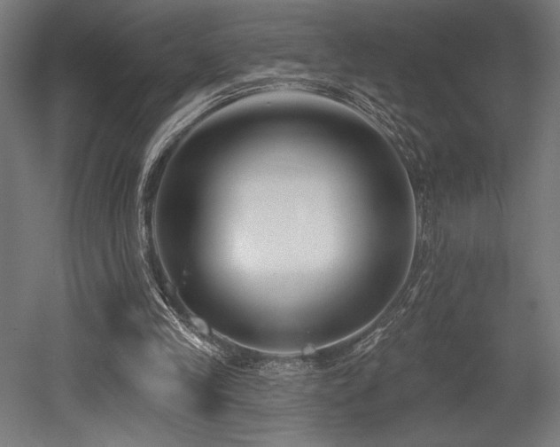 X0000053020245200507081333