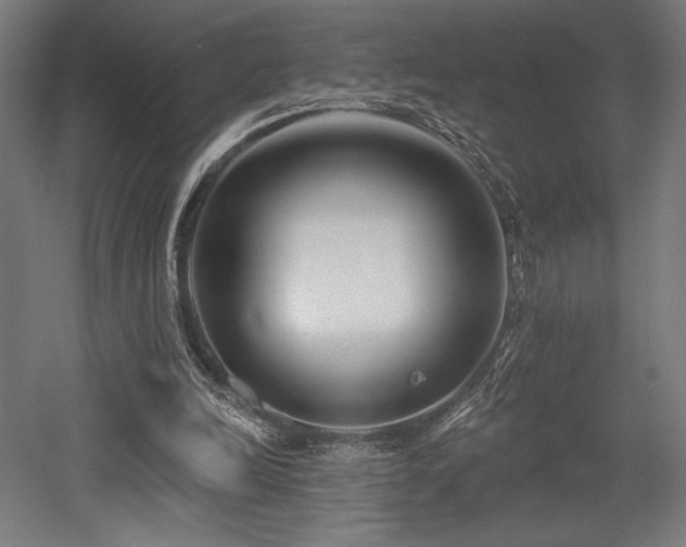 X0000053020246200507081333