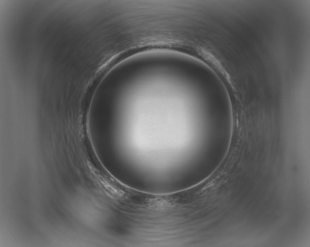 X0000053020249200507081333