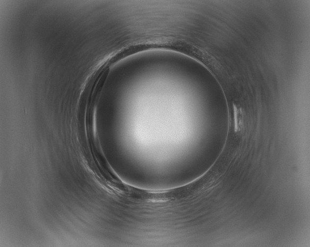 X0000053020252200507081333