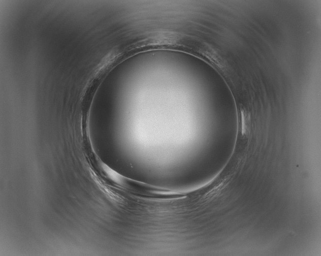 X0000053020253200507081333