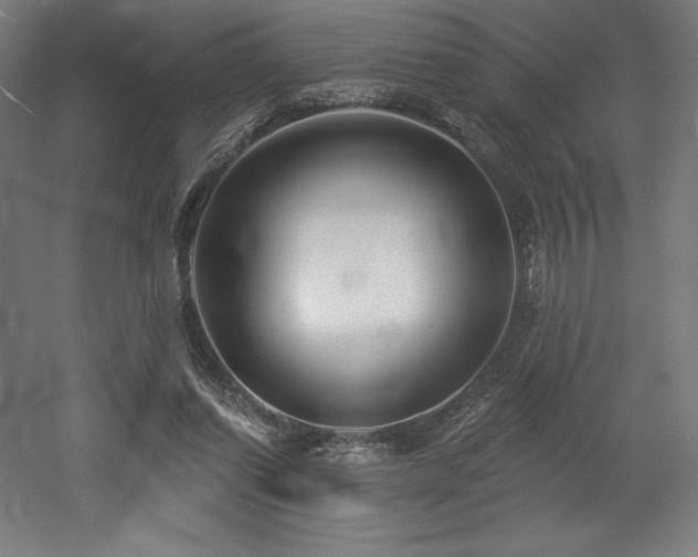 X0000053020254200507081333