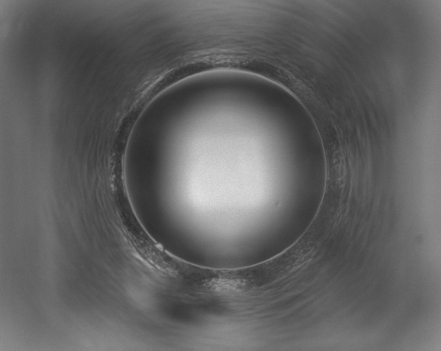 X0000053020255200507081333