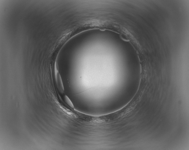 X0000053020257200507081333