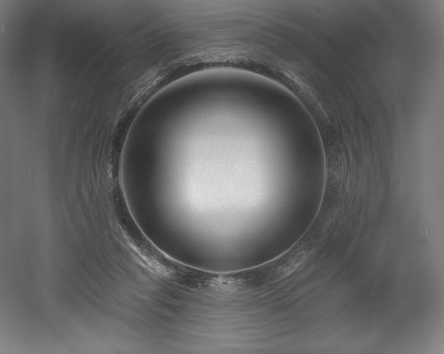 X0000053020261200507081333