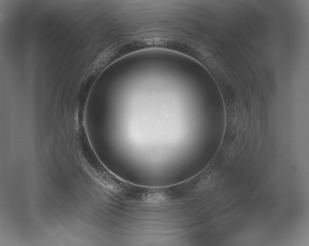 X0000053020262200507081333