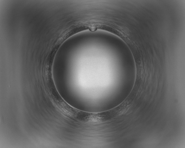 X0000053020263200507081334