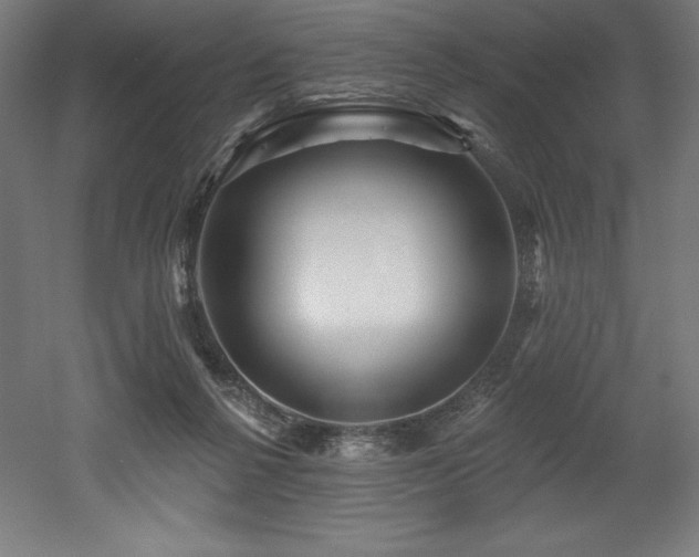 X0000053020264200507081334